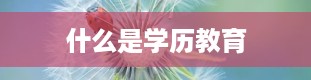 什么是学历教育