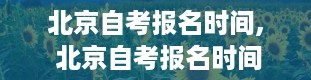 北京自考报名时间, 北京自考报名时间详解