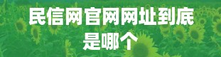 民信网官网网址到底是哪个