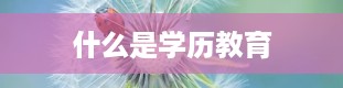 什么是学历教育