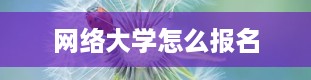 网络大学怎么报名