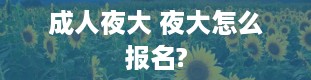 成人夜大 夜大怎么报名?