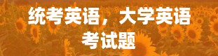 统考英语，大学英语考试题