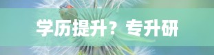 学历提升？专升研