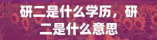 研二是什么学历，研二是什么意思