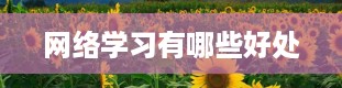 网络学习有哪些好处