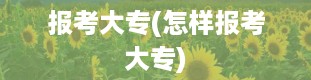 报考大专(怎样报考大专)